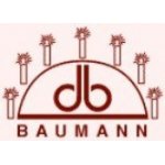 Baumann Candle Arch