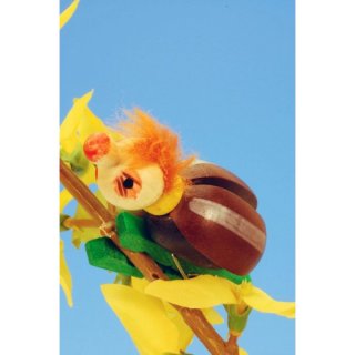 Maikäfer auf Klammer
