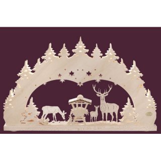 Saico Lichterbogen Wald 3D