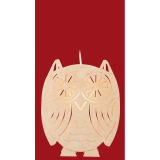 Taulin Fensterbild Eule