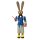 Legler rabbit man big