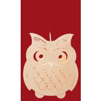 Taulin window picture owl heavy - electric illuminated