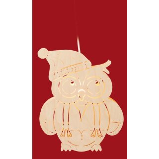 Taulin window picture owl with cap