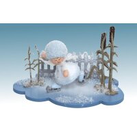 Kuhnert snowflake skater on the cloud