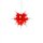 Herrnhuter Weihnachtsstern I4 weiß mit rotem Kern mit Beleuchtung