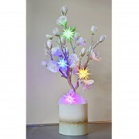 Herrnhuter Weihnachtsstern Buntes LED Set