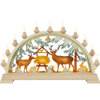 Taulin Lichterbogen Wildfütterung - ohne Vorbel. farbig