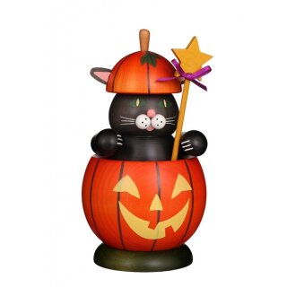 Christian Ulbricht Smoker cat in pumpkin